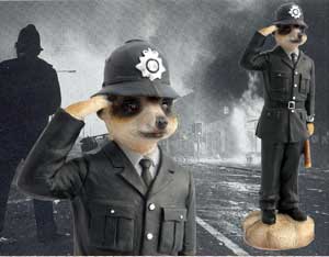 Meerkat Policeman from Solent Pet Supplies