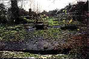 Gosport Fort Elson Barracks