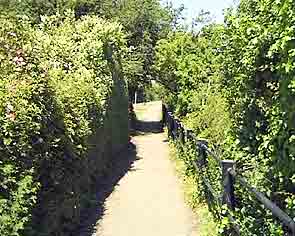 Pathway from Alver Lake