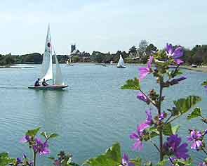 Sailing at Alver Lake